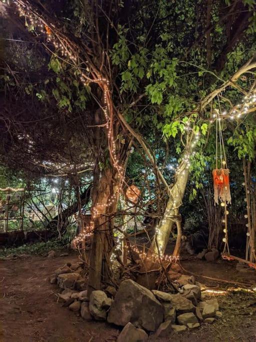 Casa Din Povesti In Mijlocul Naturii! Arad Exterior foto